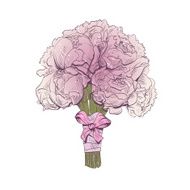 Peony bouquet hand drawn vector illustration
