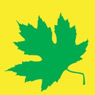 silhouette - maple leaf