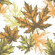 Seamless wallpaper with a maple leaf hand-drawing Vector illustration