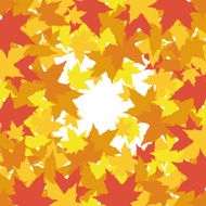 abstract background with leaves of maple N2