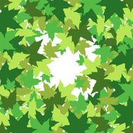 abstract background with leaves of maple N3