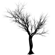 Abstract Tree N20