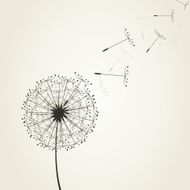 Dandelion N25