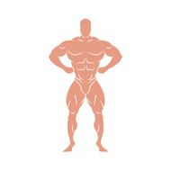 Bodybuilder silhouette abstract vector illustration N2