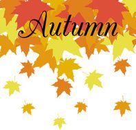 abstract background with leaves of maple N4