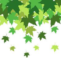 abstract background with leaves of maple N5