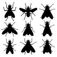 Insect Silhouettes N5