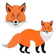 Fox N21