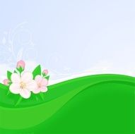 Spring background with apple blossoms