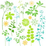 Leaf and Flower Elements