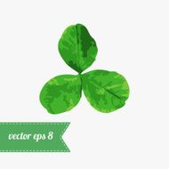 Clover Vector N2