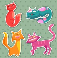 Cats collection N3