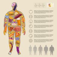 Fat man fast food Infographic vector