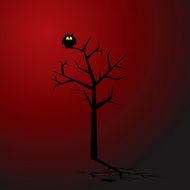 owl N74