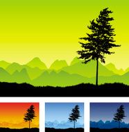 Little tree silhouette throughout the day