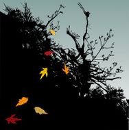 Falling