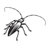 Beetle N6