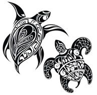 Turtle N19