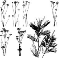Nature Catalog I