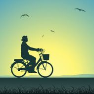 Bicycle N39