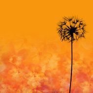 dandelion flower illustration
