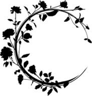 Rose's frame