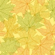 Autumn seamless pattern N81
