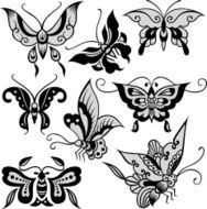 Butterfly Illustration N12