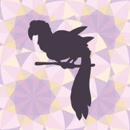 Parrot-fashion (vector)