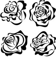 Rose N92