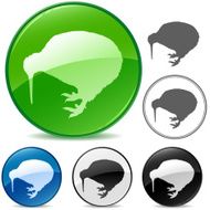 Kiwi bird icon N2