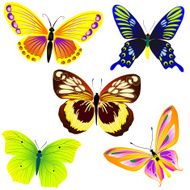 tropical butterflies N2