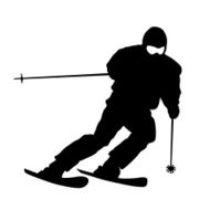 Mountain skier N5
