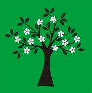 Spring Tree N25