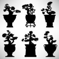 Bonsai Flower Plant Silhouette