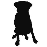 Labrador Retriever Silhouette N2