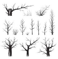 Scratchy Trees Collection in Black Silhouettes