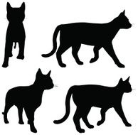 Cats collection - vector silhouette N4