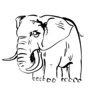 Elephant N68