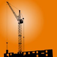 Silhouette of crane