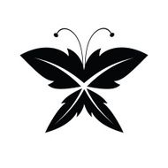 butterfly N108