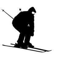 Mountain skier N11