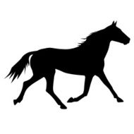 Horse N84