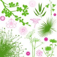 Colorful plants set III