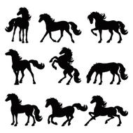Horses silhouette collection isolated icon set