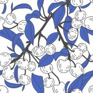 Cherries N12