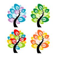 Four seasons tree - winter spring summer autumn