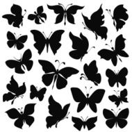 butterfly N109