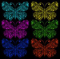 Butterflies on a black background