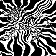 Seamless pattern of zebra